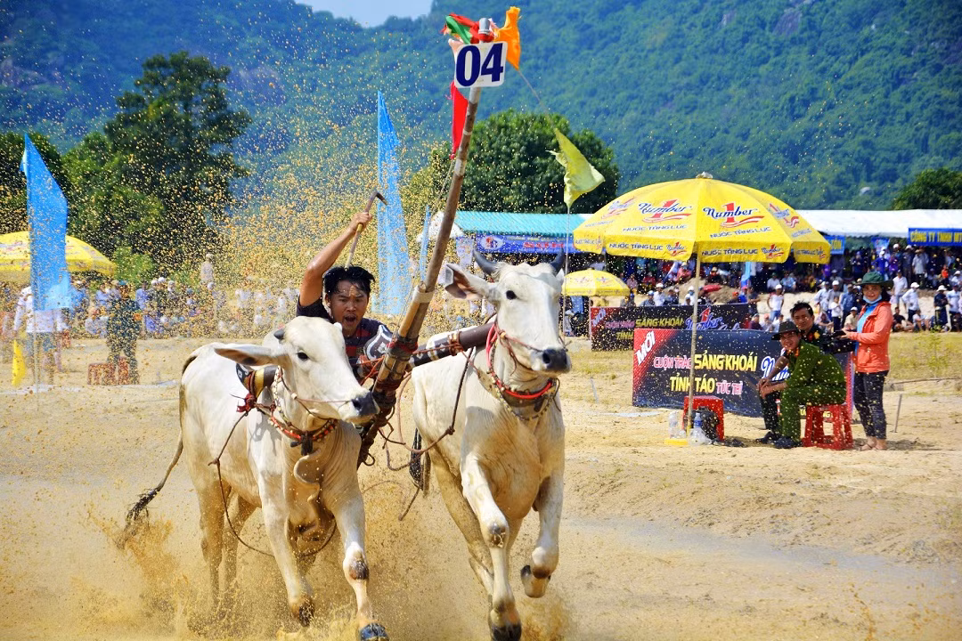 Hội đua bò Bảy Núi An Giang hằng năm được tổ chức trùng vào dịp lễ Sene Dolta (lễ cúng ông bà) của người Khmer Nam Bộ, diễn ra vào cuối tháng 8 đầu tháng 9 âm lịch hàng năm. Hội đua bò Bảy Núi An Giang hằng năm được tổ chức trùng vào dịp lễ Sene Dolta (lễ cúng ông bà) của người Khmer Nam Bộ, diễn ra vào cuối tháng 8 đầu tháng 9 âm lịch hàng năm.