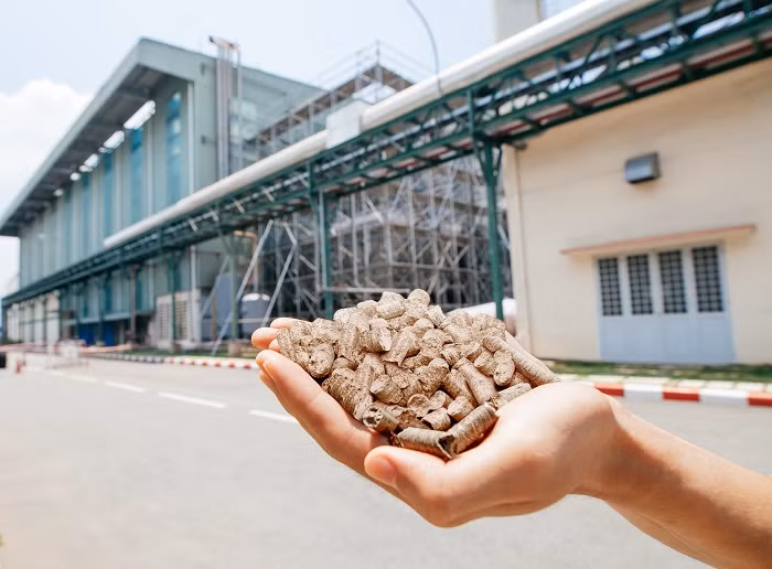 Thay vì những nhiên liệu truyền thống như dầu DO hay khí Gas, Ajinomoto Việt Nam sử dụng trấu ép nhằm cắt giảm tối đa lượng khí CO2 thải ra môi trường.