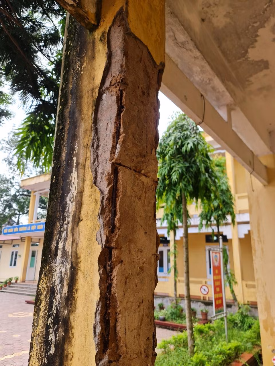 Cột nhà bị nứt, trơ sắt thép (Ảnh: Lã Tiến) Cột nhà bị nứt, trơ sắt thép (Ảnh: Lã Tiến)