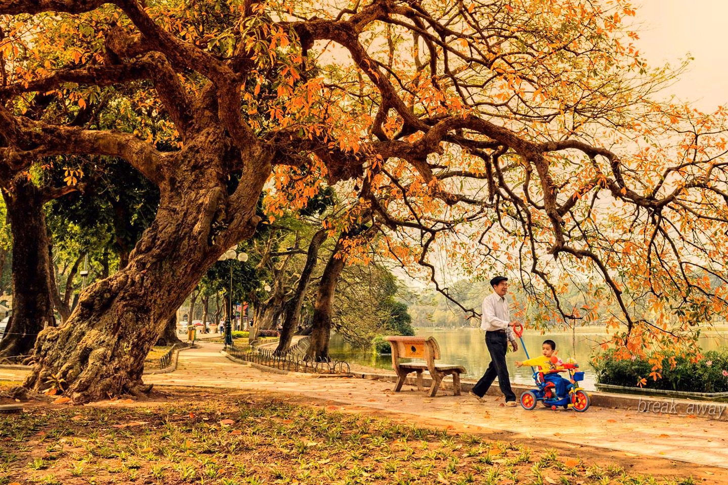 Vay tương lai ảnh 2