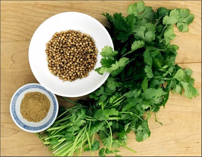 3. Hạt rau mùi: Đun sôi một cốc nước cùng với 1 thìa hạt rau mùi. Gạn lấy nước dùng súc miệng. Mỗi ngày dùng để súc miệng từ 3 đến 4 lần. 3. Hạt rau mùi: Đun sôi một cốc nước cùng với 1 thìa hạt rau mùi. Gạn lấy nước dùng súc miệng. Mỗi ngày dùng để súc miệng từ 3 đến 4 lần.