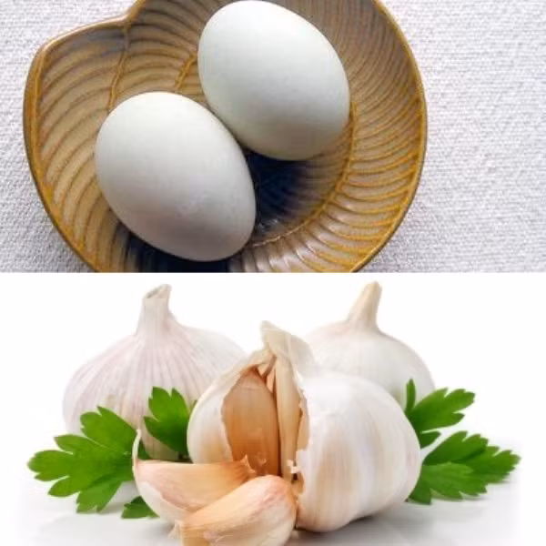 6. Tỏi + trứng vịt: tráng trứng vịt với tỏi rất độc. 6. Tỏi + trứng vịt: tráng trứng vịt với tỏi rất độc.