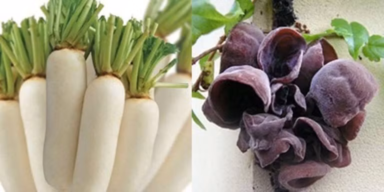 11. Củ cải kỵ nấm mèo đen: Củ cải chứa nhiều engym, nấm mèo đen chứa nhiều hoạt chất sinh học, hai thứ ăn chung có thể phát sinh phản ứng hóa học phức tạp, dẫn đến phát sinh viêm da.