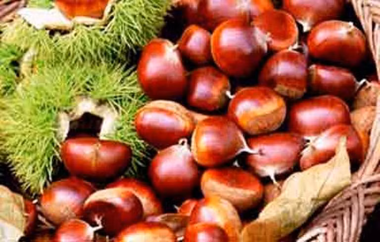 1. Hạt dẻ: Hạt dẻ chứa một số lượng lớn chất xơ, có thể ngăn ngừa táo bón. Ngoài ra, hạt dẻ không chỉ giàu đường, protein, tinh bột và chất béo, mà còn chứa các loại vitamin và khoáng chất như sắt, canxi, phốt pho, kali ... Nó đặc biệt giàu vitamin B, vitamin C và carotene, và chứa hàm lượng cao hơn nhiều hơn so với các loại hạt khác. 1. Hạt dẻ: Hạt dẻ chứa một số lượng lớn chất xơ, có thể ngăn ngừa táo bón. Ngoài ra, hạt dẻ không chỉ giàu đường, protein, tinh bột và chất béo, mà còn chứa các loại vitamin và khoáng chất như sắt, canxi, phốt pho, kali ... Nó đặc biệt giàu vitamin B, vitamin C và carotene, và chứa hàm lượng cao hơn nhiều hơn so với các loại hạt khác.