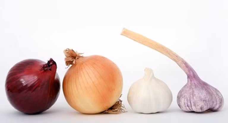 9. Tỏi và hành: Cả hai loại gia vị này rất giàu lưu huỳnh, và chúng có tác dụng sản xuất glutathione, một chất chống oxy hóa quan trọng đối với các tròng mắt.