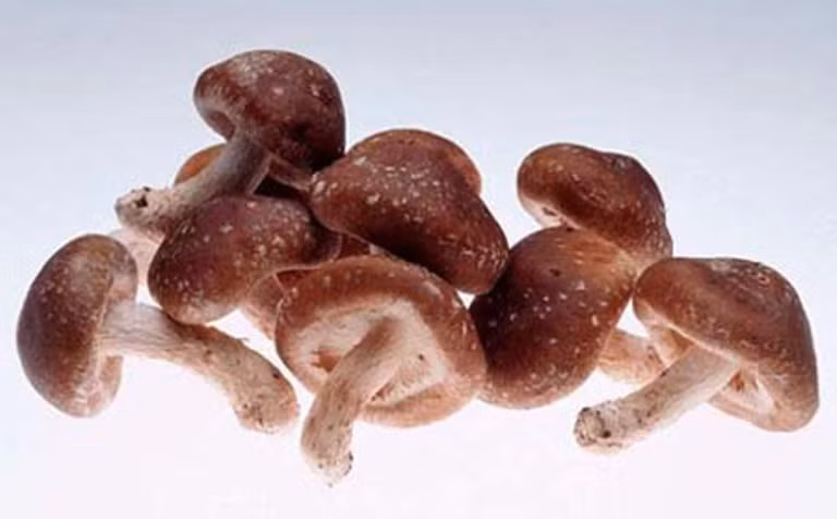 8. Chữa gout bằng cải bó xôi, nấm hương: Cải bó xôi 100g, nấ hương 20g, gia vị vừa đủ. Cải bó xôi rửa sạch, thái nhỏ, nấm hương rửa sạch, bỏ chân. Cho 2 thứ vào nồi, đổ vừa nước, đun chín, thên gia vị vừa ăn, ăn lúc nóng, ngày 2 lần, ăn trong 5 - 7 ngày. 8. Chữa gout bằng cải bó xôi, nấm hương: Cải bó xôi 100g, nấ hương 20g, gia vị vừa đủ. Cải bó xôi rửa sạch, thái nhỏ, nấm hương rửa sạch, bỏ chân. Cho 2 thứ vào nồi, đổ vừa nước, đun chín, thên gia vị vừa ăn, ăn lúc nóng, ngày 2 lần, ăn trong 5 - 7 ngày.