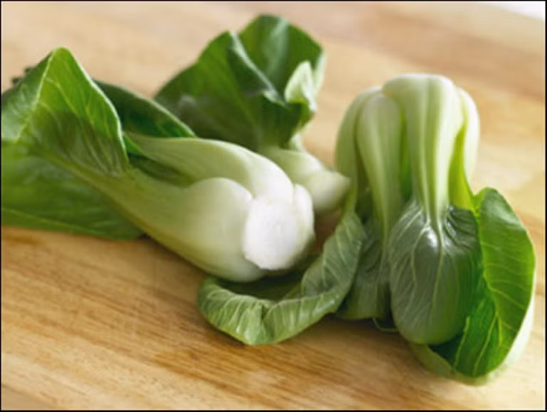 7. Chữa gout bằng cải trắng: Cải trắng 250g, dầu thực vật 20g. Xào ăn hàng ngày, thích hợp ăn trong giai đoạn điều trị củng cố. 7. Chữa gout bằng cải trắng: Cải trắng 250g, dầu thực vật 20g. Xào ăn hàng ngày, thích hợp ăn trong giai đoạn điều trị củng cố.
