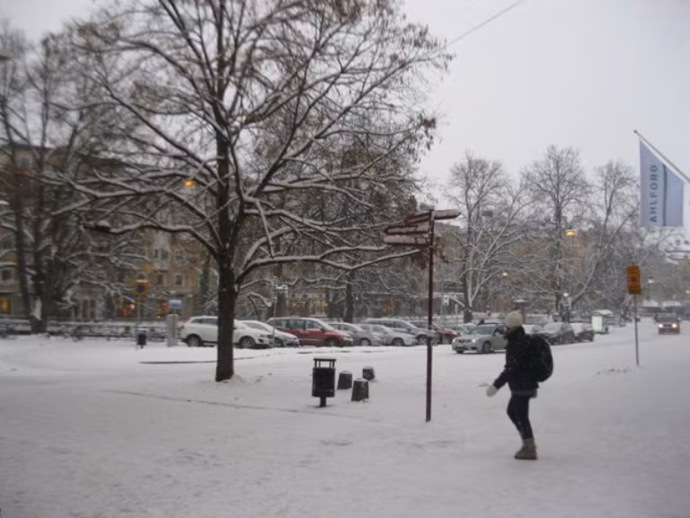 Đây cũng là nơi có Đại học Uppsala (thành lập năm 1477) là trường đại học cổ nhất Scandinavia và là trường cổ nhất ở Bắc Âu.