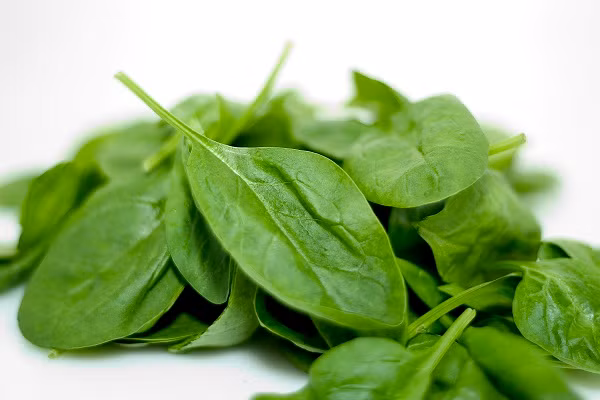 10. Rau chân vịt Loại rau có lá màu xanh thẫm và hương vị thơm ngon này rất giàu vitamin và canxi. Chỉ cần khoảng 200gr rau chân vịt nấu chín, cơ thể bạn đã có được 25% nhu cầu canxi cần thiết cho mỗi ngày để giúp xương cứng cáp, phòng chống loãng xương.