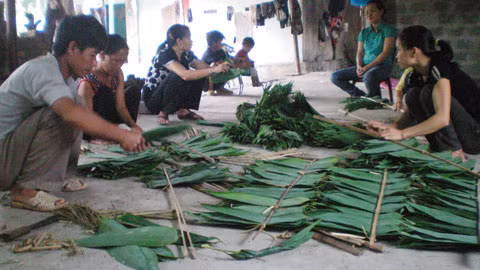 Ép lá thẳng trước khi sấy khô. (Ảnh: Hương Mai) Ép lá thẳng trước khi sấy khô. (Ảnh: Hương Mai)