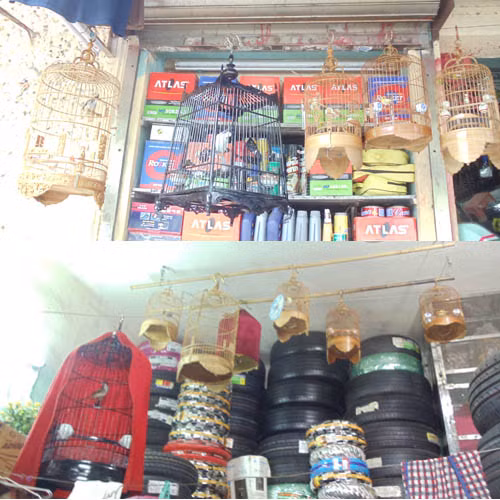 Lồng chim cảnh trong cửa hàng của anh Tú
