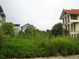 Đất đấu giá ở quận Tây Hồ để hoang nhiều năm Đất đấu giá ở quận Tây Hồ để hoang nhiều năm