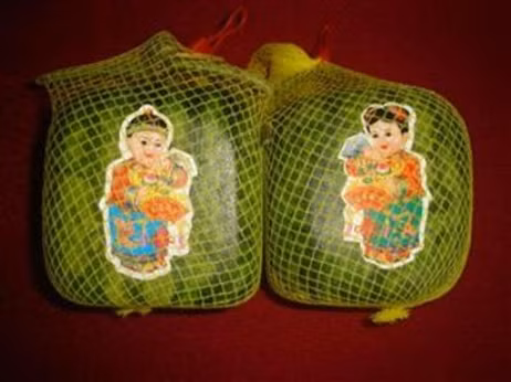 Dưa hấu vuông - đặc sản ĐBSCL, giá bán 2 triệu đồng/cặp. Ngoài các món hàng dễ nhận biết như dưa hấu vuông, bưởi hồ lô, những mặt hàng như: nhâm sâm, yến sào, nước yến, linh chi… nếu không rành và mua không đúng nơi rất dễ bị “tiền mất, tật mang”. Dưa hấu vuông - đặc sản ĐBSCL, giá bán 2 triệu đồng/cặp. Ngoài các món hàng dễ nhận biết như dưa hấu vuông, bưởi hồ lô, những mặt hàng như: nhâm sâm, yến sào, nước yến, linh chi… nếu không rành và mua không đúng nơi rất dễ bị “tiền mất, tật mang”.