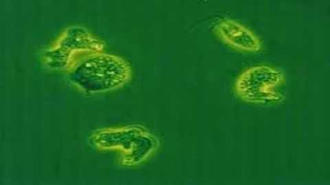 Cục Y tế xác nhận nạn nhân thứ 2 tử vong do 