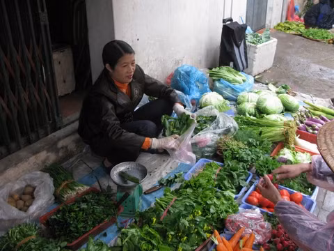 Chỉ nên mua những loại rau củ quả đúng mùa để tránh mua phải hàng Trung Quốc Chỉ nên mua những loại rau củ quả đúng mùa để tránh mua phải hàng Trung Quốc