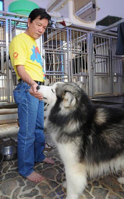 Anh Lê Chính đang ra hiệu cho chú khuyển có tên Noble - Alaska biểu diễn cho khách xem.