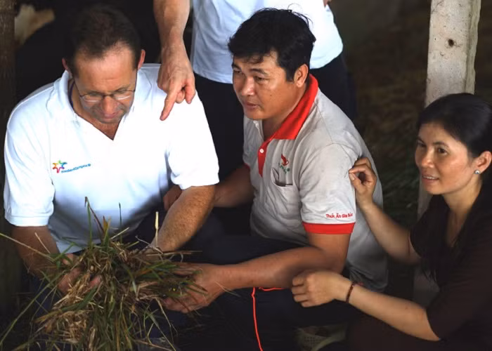 Các nông dân Hà Lan hướng dẫn về dinh dưỡng tại chuồng trại.