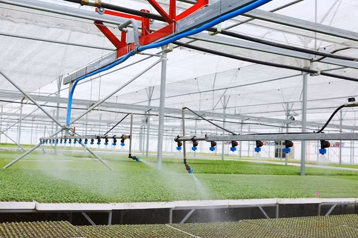 Công nghệ tưới nhỏ giọt và tưới phun mưa của Netafim (Israel). Công nghệ tưới nhỏ giọt và tưới phun mưa của Netafim (Israel).