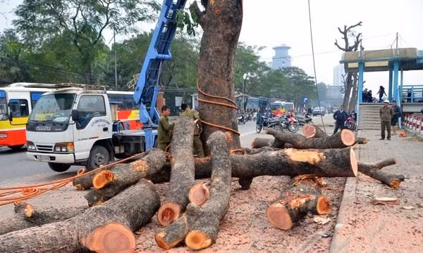 Chi tiết 21 câu hỏi của báo chí và trả lời của Sở Xây dựng Hà Nội ảnh 2
