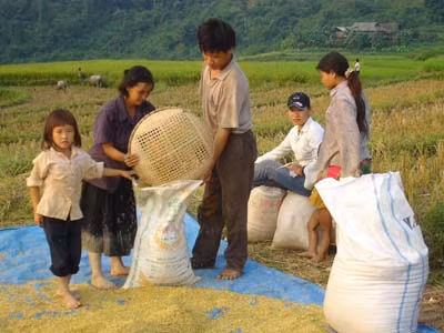 Chính phủ đã có nhiều nỗ lực trong công tác xóa đói giảm nghèo những năm gần đây. Chính phủ đã có nhiều nỗ lực trong công tác xóa đói giảm nghèo những năm gần đây.