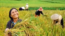 Tham "vinh quang” ảnh 3