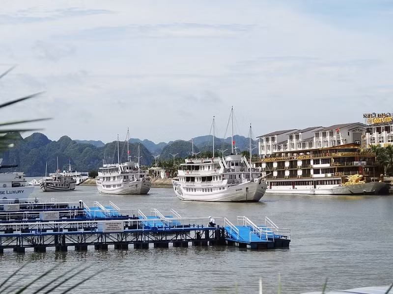 Vùng đất sình lầy bên vịnh Hạ Long sau khi được Tập đoàn Tuần Châu cải tạo. Nơi đây mỗi năm đóng góp cho ngân sách tỉnh Quảng Ninh 2000 tỷ đồng từ các nguồn thu dịch vụ du lịch. Vùng đất sình lầy bên vịnh Hạ Long sau khi được Tập đoàn Tuần Châu cải tạo. Nơi đây mỗi năm đóng góp cho ngân sách tỉnh Quảng Ninh 2000 tỷ đồng từ các nguồn thu dịch vụ du lịch.