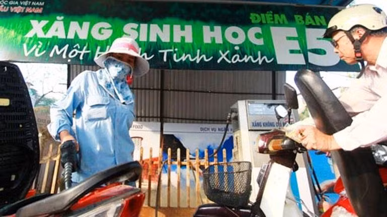 Xăng sinh học cạnh tranh kém do giá? (ảnh minh họa - nguồn Internet ) Xăng sinh học cạnh tranh kém do giá? (ảnh minh họa - nguồn Internet )