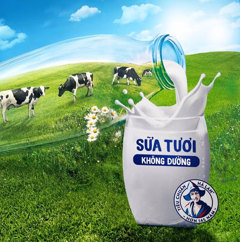Mỗi hộp sữa tươi Cô gái Hà Lan con uống đều cam kết đạt chuẩn “4 Không”: Không dư lượng trừ sâu, không màu hóa học, không dư lượng kháng sinh, không chất bảo quản. Mỗi hộp sữa tươi Cô gái Hà Lan con uống đều cam kết đạt chuẩn “4 Không”: Không dư lượng trừ sâu, không màu hóa học, không dư lượng kháng sinh, không chất bảo quản.