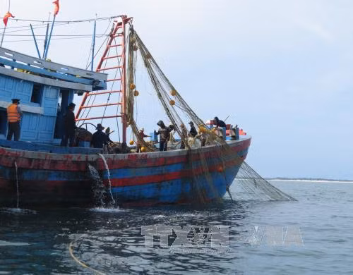 Vi phạm hành chính trong lĩnh vực thủy sản bị phạt tới 1 tỷ đồng (Ảnh: TTXVN). Vi phạm hành chính trong lĩnh vực thủy sản bị phạt tới 1 tỷ đồng (Ảnh: TTXVN).