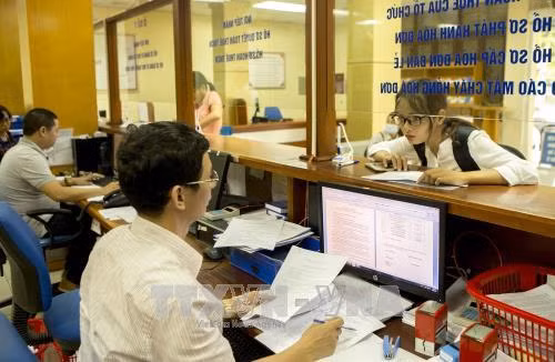 Nông nghiệp, lâm nghiệp và thuỷ sản là ngành được gia hạn thời hạn nộp thuế và tiền thuê đất. Ảnh minh họa: TTXVN
