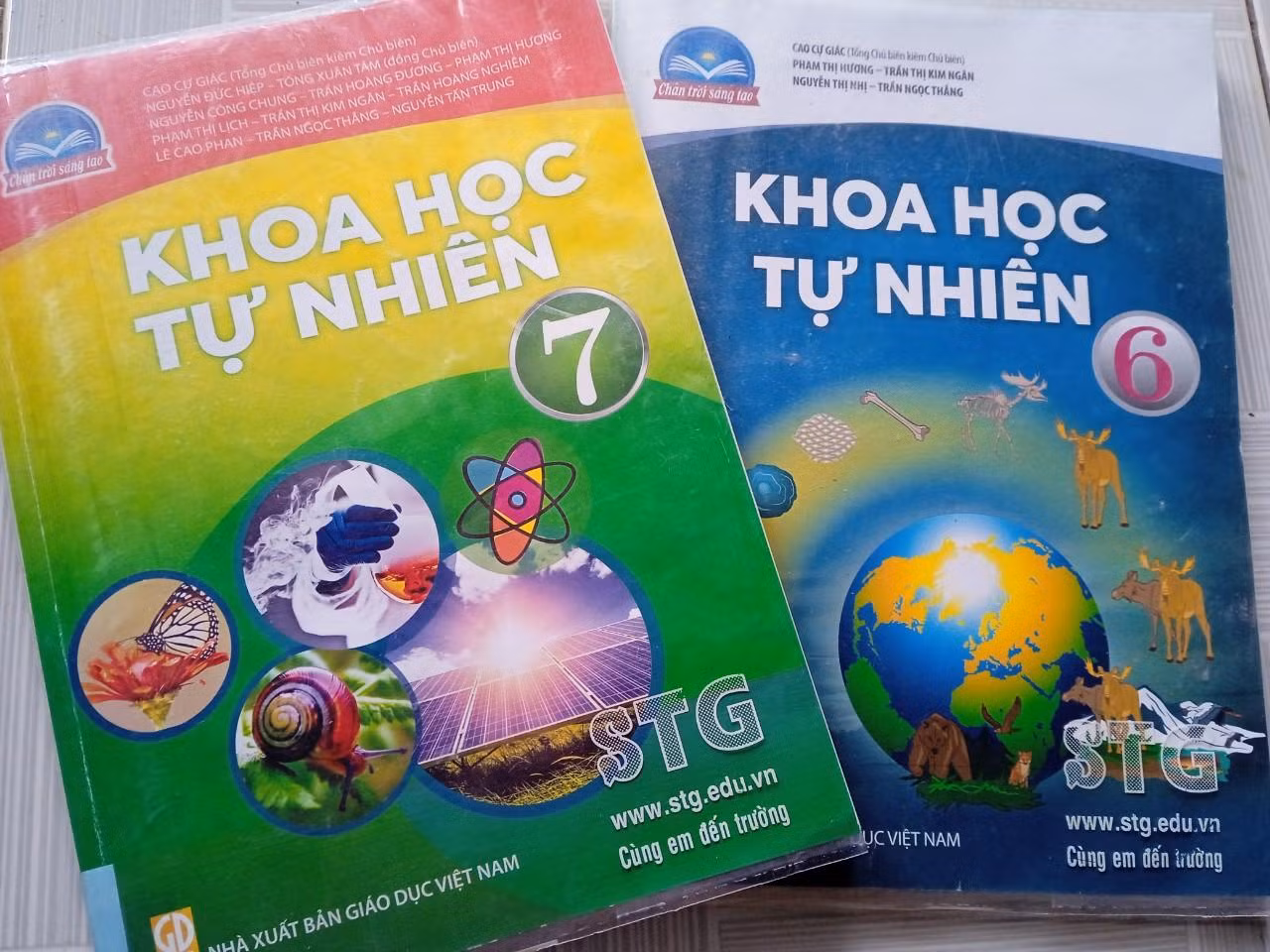 GDVN_tích hợp.jpg