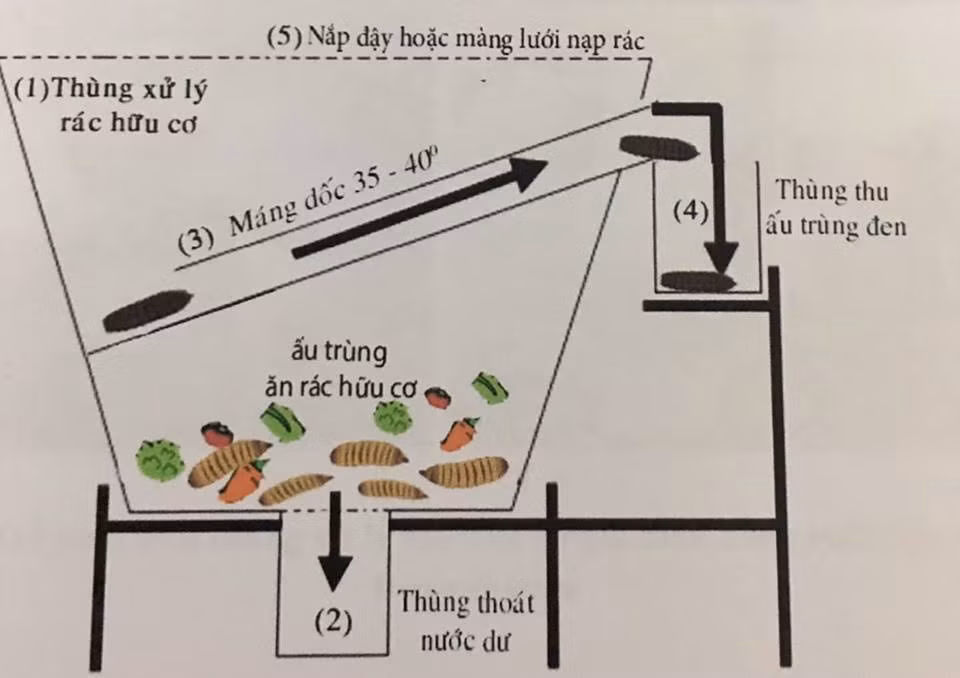 Bản thiết kế thùng rác chứa ấu trùng ruồi lính đen của Thu Phương và Thanh Mai (Ảnh: LT) Bản thiết kế thùng rác chứa ấu trùng ruồi lính đen của Thu Phương và Thanh Mai (Ảnh: LT)