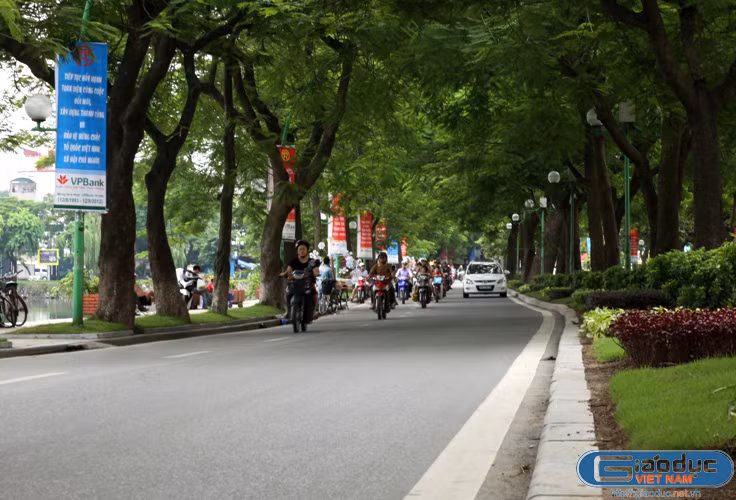 Đường Thanh Niên mát mắt với hàng cây phượng vĩ đang chuẩn bị vào mùa trút lá vàng.