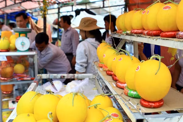 Một nghiên cứu gần dây cho thấy, cơ thể có ít folate sẽ tăng gấp 3 lần nguy cơ mắc bệnh Alzheimer (bệnh mất trí nhớ) ở những người cao tuổi. Và các chuyên gia khuyên bạn nên ăn những thực phẩm giàu chất forlate như dưa lê. Xem thêm:Điểm danh 12 loại rau, quả dễ nhiễm thuốc trừ sâu hàng đầu 2012