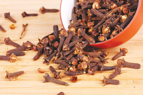 Chữa phong thấp, đau xương, nhức mỏi, chân tay lạnh: đinh hương 20g, long não 12g, cồn 90 độ 250ml. Ngâm 7 ngày đêm. Lọc bỏ bã. Khi dùng, lấy bông thấm thuốc bôi, rồi nắn bóp nơi đau nhức. Ngày làm 1-2 lần. Xem thêm:Điểm danh 12 loại rau, quả dễ nhiễm thuốc trừ sâu hàng đầu 2012