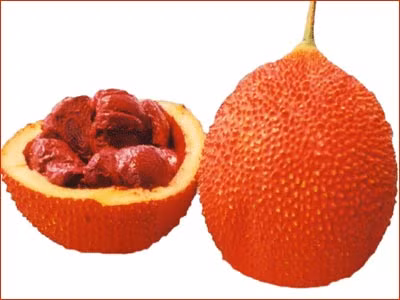 Rượu gấu tàu hoặc rượu hạt gấc: Hai loại rượu này cũng có thể dùng để xoa bóp sẽ mang lại hiệu quả rất tích cực, giúp giảm đau, nhanh tan máu bầm. Tuy nhiên, cần đặc biệt lưu ý không được uống loại rượu này sẽ cực độc và cần để xa tầm tay trẻ em phòng ngộ độc. Xem thêm: Bí quyết "nhỏ", giữ sức khỏe "lớn" trong mùa nắng nóng Rượu gấu tàu hoặc rượu hạt gấc: Hai loại rượu này cũng có thể dùng để xoa bóp sẽ mang lại hiệu quả rất tích cực, giúp giảm đau, nhanh tan máu bầm. Tuy nhiên, cần đặc biệt lưu ý không được uống loại rượu này sẽ cực độc và cần để xa tầm tay trẻ em phòng ngộ độc. Xem thêm: Bí quyết "nhỏ", giữ sức khỏe "lớn" trong mùa nắng nóng