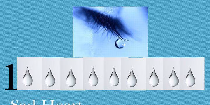 Đáp án: Tỷ lệ. Đáp án: Tỷ lệ.