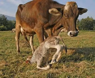 Đáp án: Bê tông. Đáp án: Bê tông.