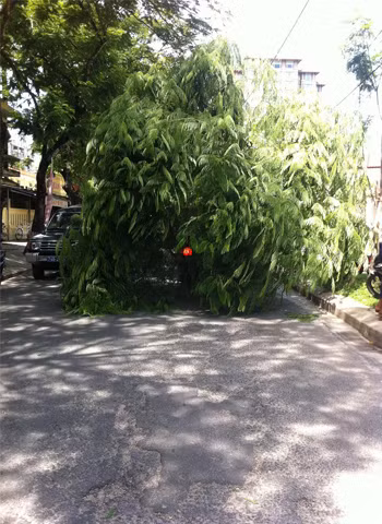 Những hình ảnh chở hàng cồng kềnh tại TP. Huế. Ảnh: Nguyễn Đại Hiệp