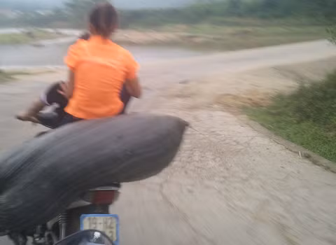 Chụp tại xã Võ Miếu, huyện Thanh Sơn, tỉnh Phú Thọ. Ảnh: Bùi Thanh Hải Chụp tại xã Võ Miếu, huyện Thanh Sơn, tỉnh Phú Thọ. Ảnh: Bùi Thanh Hải