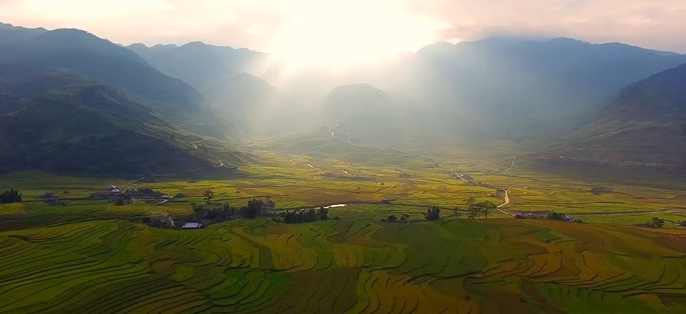 Hình ảnh cánh đòng phủ xanh sức sống trong MV "Vươn cao Việt Nam"