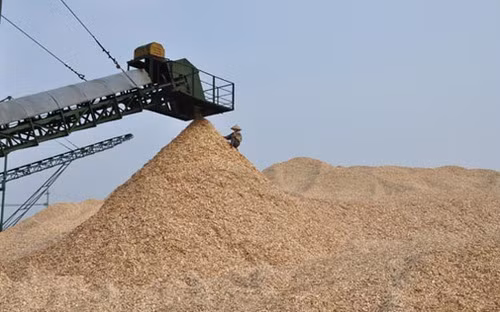 Phát triển độc lập ngành sản xuất dăm gỗ xuất khẩu là luôn đối mặt với quy trình kinh tế: dùng chính phẩm →chế biến thành thứ phẩm → bán giá phế phẩm. Ảnh minh họa: Vneconomy. Phát triển độc lập ngành sản xuất dăm gỗ xuất khẩu là luôn đối mặt với quy trình kinh tế: dùng chính phẩm →chế biến thành thứ phẩm → bán giá phế phẩm. Ảnh minh họa: Vneconomy.
