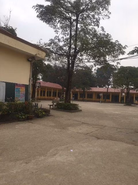 Trường Tiểu học Đắc Sơn II (thị xã Phổ Yên, tỉnh Thái Nguyên. (Ảnh: http://thdacson2.phoyen.edu.vn/)