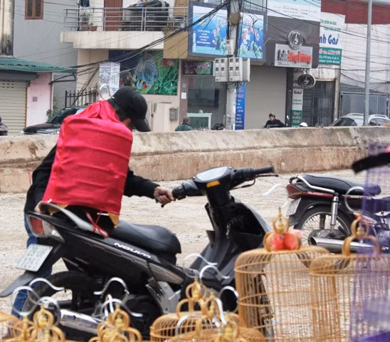 Cẩn thận chở chim về sau khi chọn mua và trả giá hợp lý