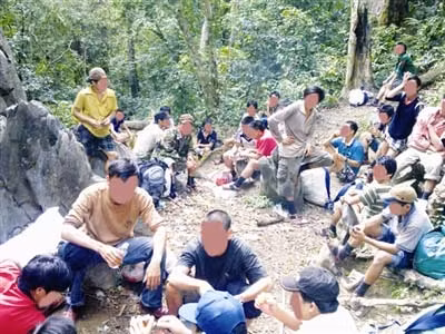 Vụ cây sưa ngàn tỉ: Giáp mặt giang hồ, Tin tức trong ngày, go sua nghin ty, go sua, giang ho, go sua, quang binh, lam tac, kiem lam, pha rung, phong nha ke bang, bao, tin tuc, tin hot, tin hay