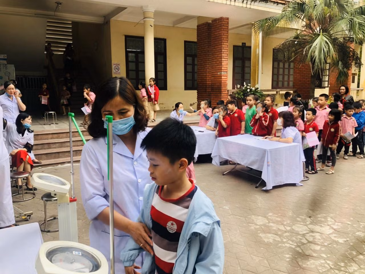 Trường Tiểu học Lê Văn Tám tổ chức kiểm tra sức khỏe định kỳ cho học sinh (Ảnh: MK)
