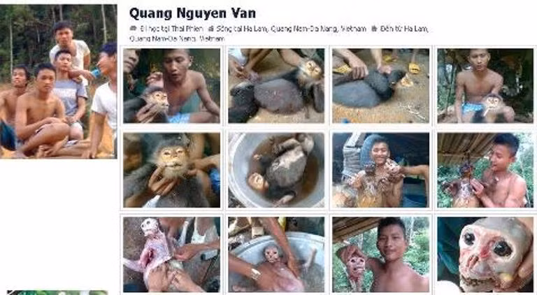 Những hình ảnh ghi lại quá trình giết hại chú voọc đang mang thai khiến cộng đồng mạng hết sức bất bình. (Ảnh chụp lại màn hình)
