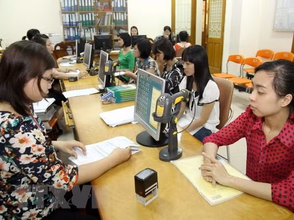 Nghị định số 62/2020/NĐ-CP quy định về vị trí việc làm và biên chế công chức. ảnh minh họa: TTXVN.