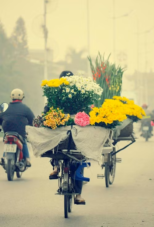 Những chiếc xe đạp hối hả từ chợ hoa đêm Quảng Bá tỏa đi khắp phố phường