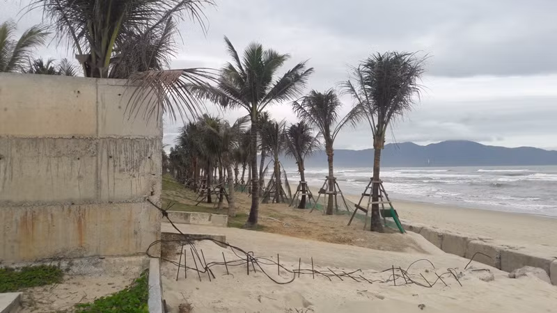 Phần lấn biển trái phép, chủ đầu tư đã trồng dừa, cỏ và nhiều công trình phụ trợ khác. Ảnh: TT Phần lấn biển trái phép, chủ đầu tư đã trồng dừa, cỏ và nhiều công trình phụ trợ khác. Ảnh: TT